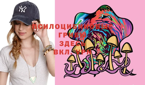 индика Кукмор
