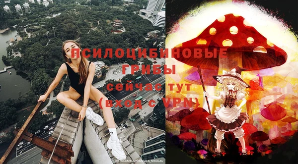 индика Кукмор