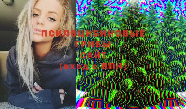 индика Кукмор