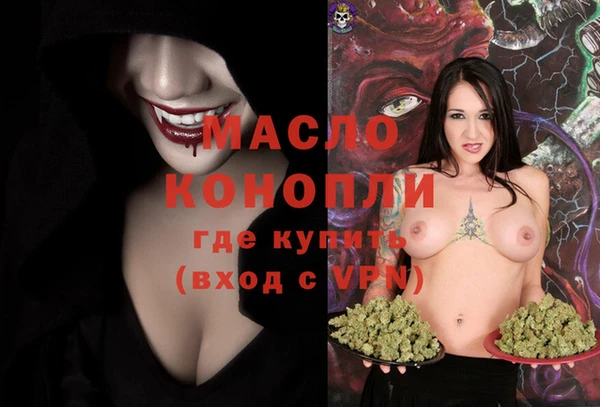 индика Кукмор