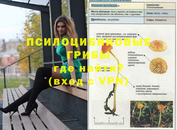 индика Кукмор