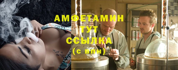 индика Кукмор