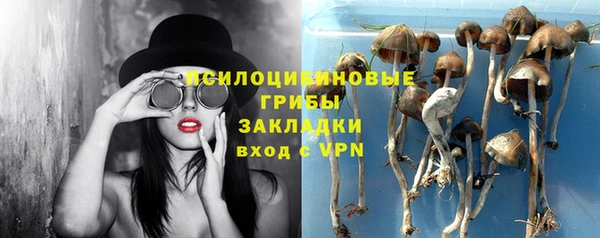 стаф Куйбышев