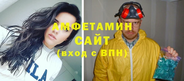 индика Кукмор