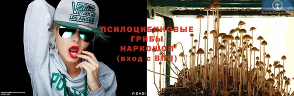 стаф Куйбышев