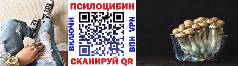 Галлюциногенные грибы мухоморы  Судогда 
